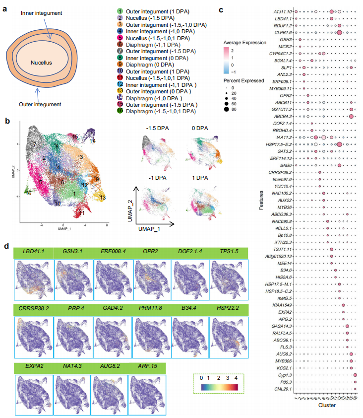 1755445694479294.png 图3.png
