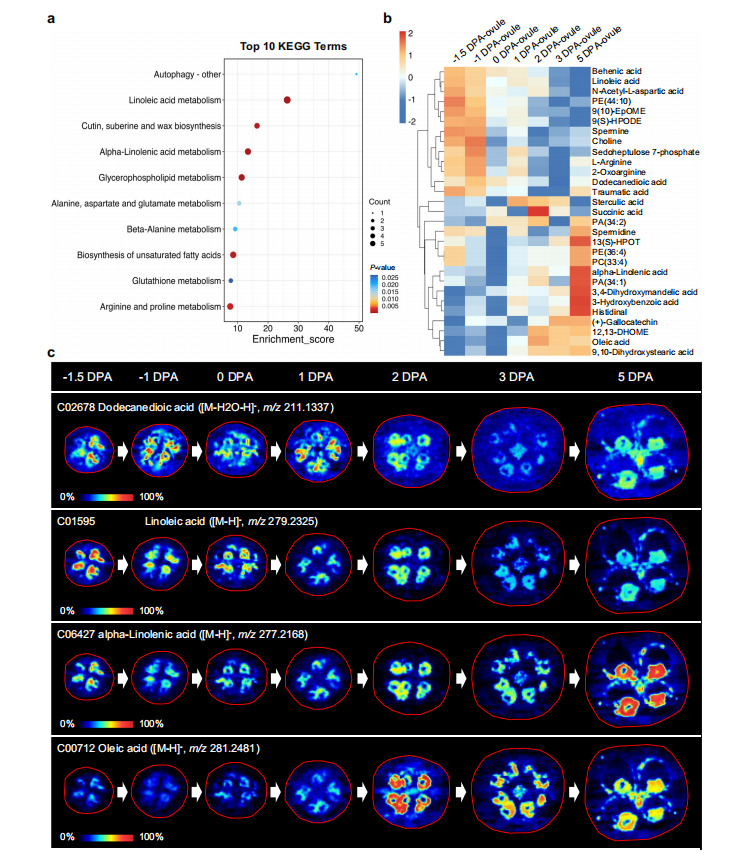 1755445729803810.png 图5.png