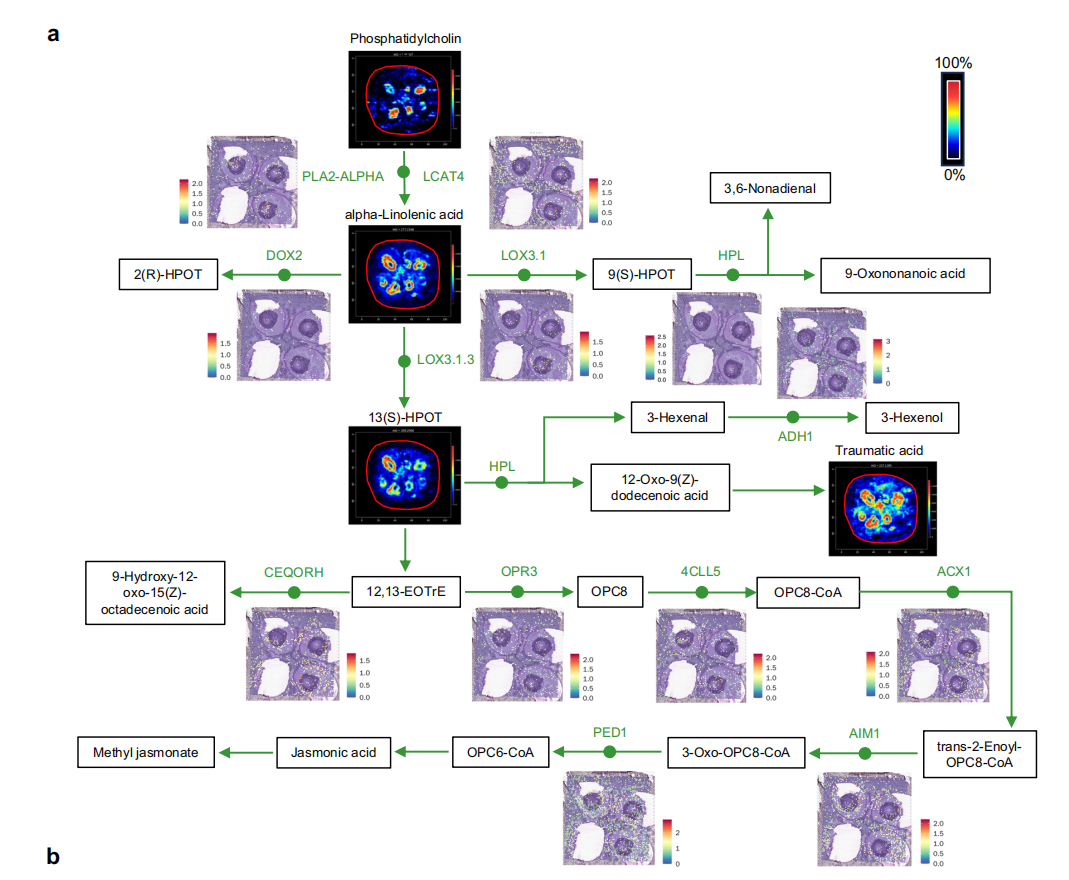 1755445796313650.png 图6.png