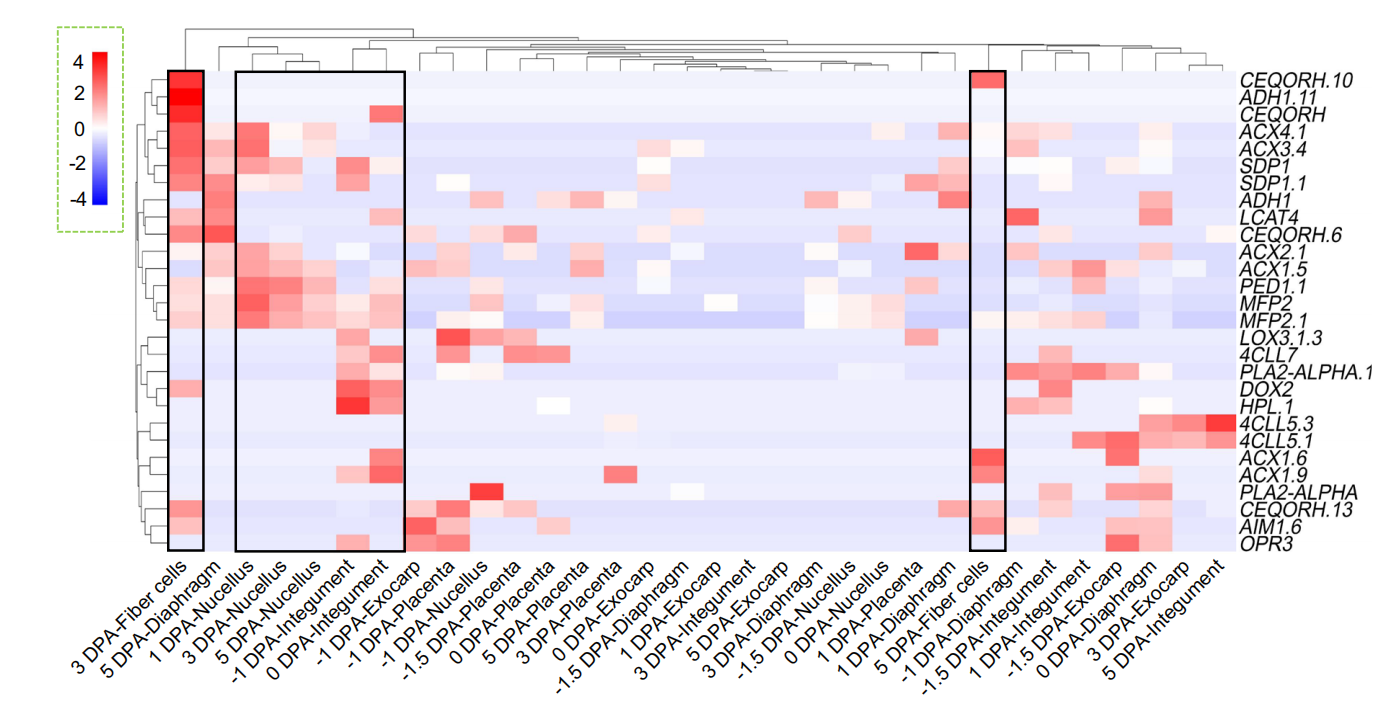 1755445828348570.png 图6-1.png