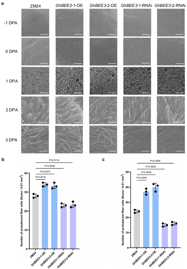 1755445902607435.png 图8.png