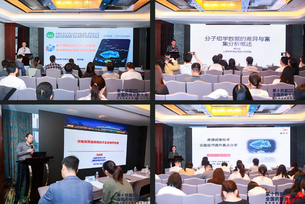 1763113915261225.png 2.png