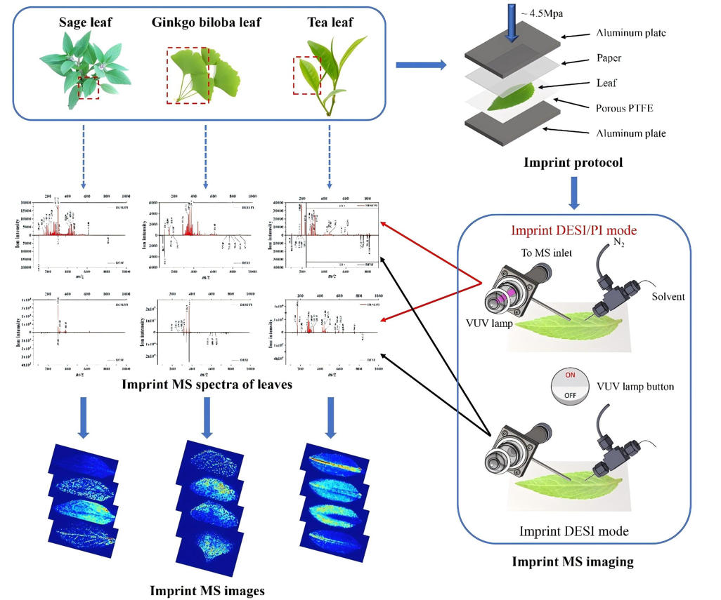 1763707560278701.jpg 研究框架.jpg