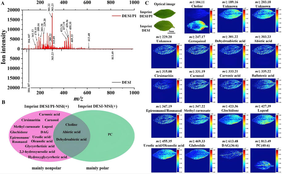 1763707661595905.jpg 图1.jpg