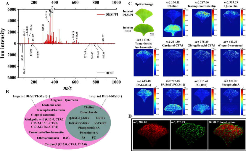 1763707800631254.jpg 图2.jpg