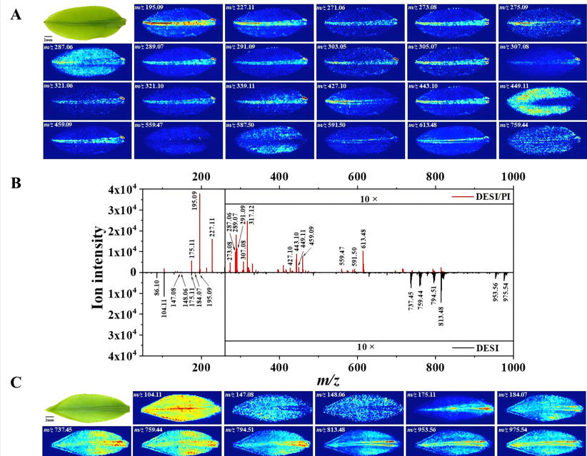1763707905752807.jpg 图片3-1.jpg
