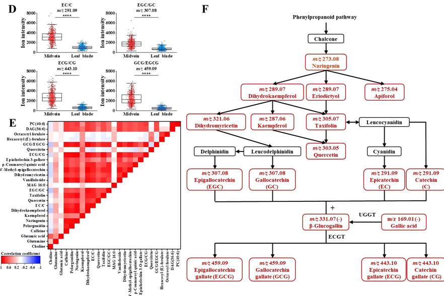 1763707912439516.jpg 图片3-2.jpg