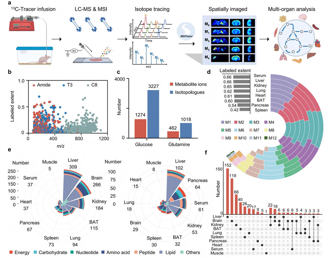 1763708379480816.jpg 图1.jpg