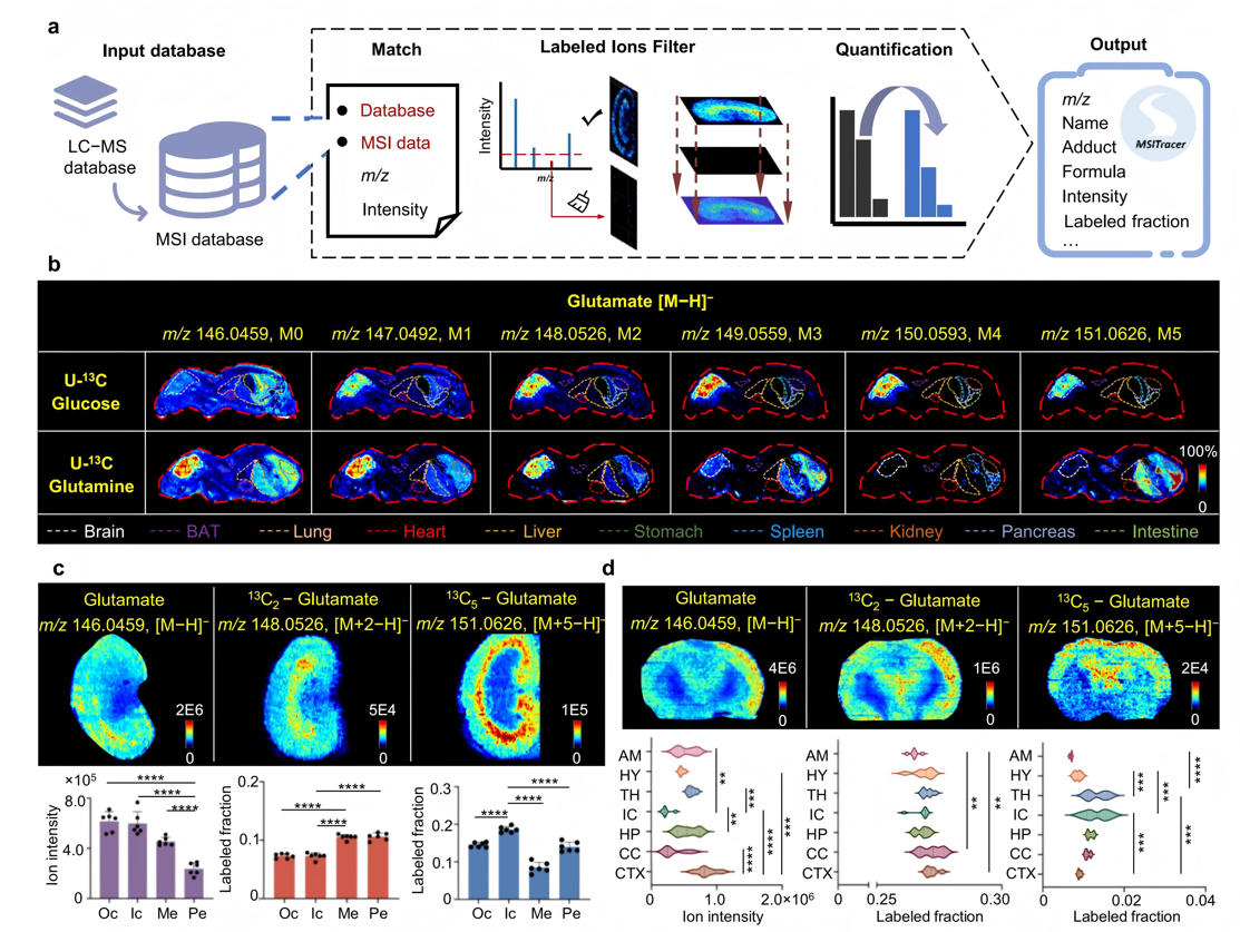 1763708468837856.jpg 图2.jpg