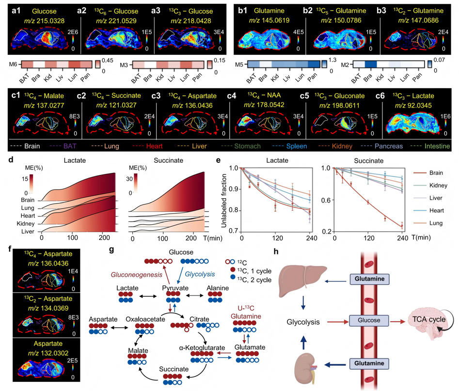 1763708644429428.jpg 图3.jpg