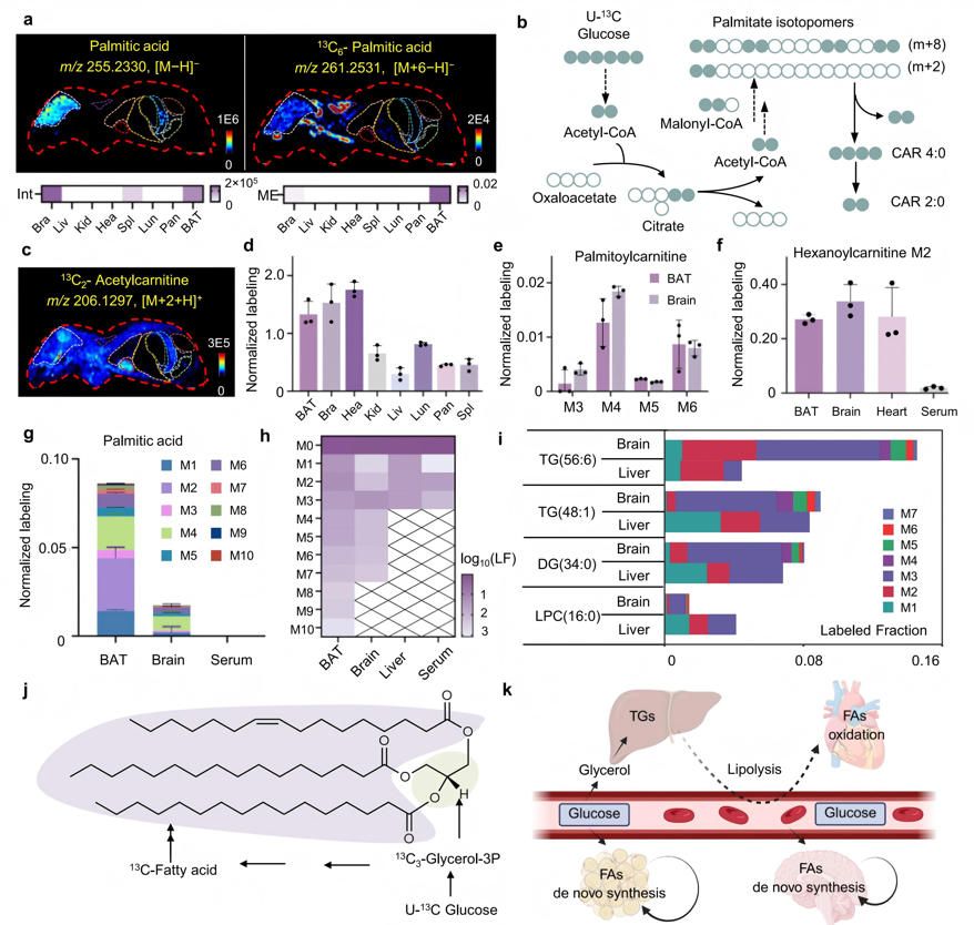 1763708694733699.jpg 图4.jpg