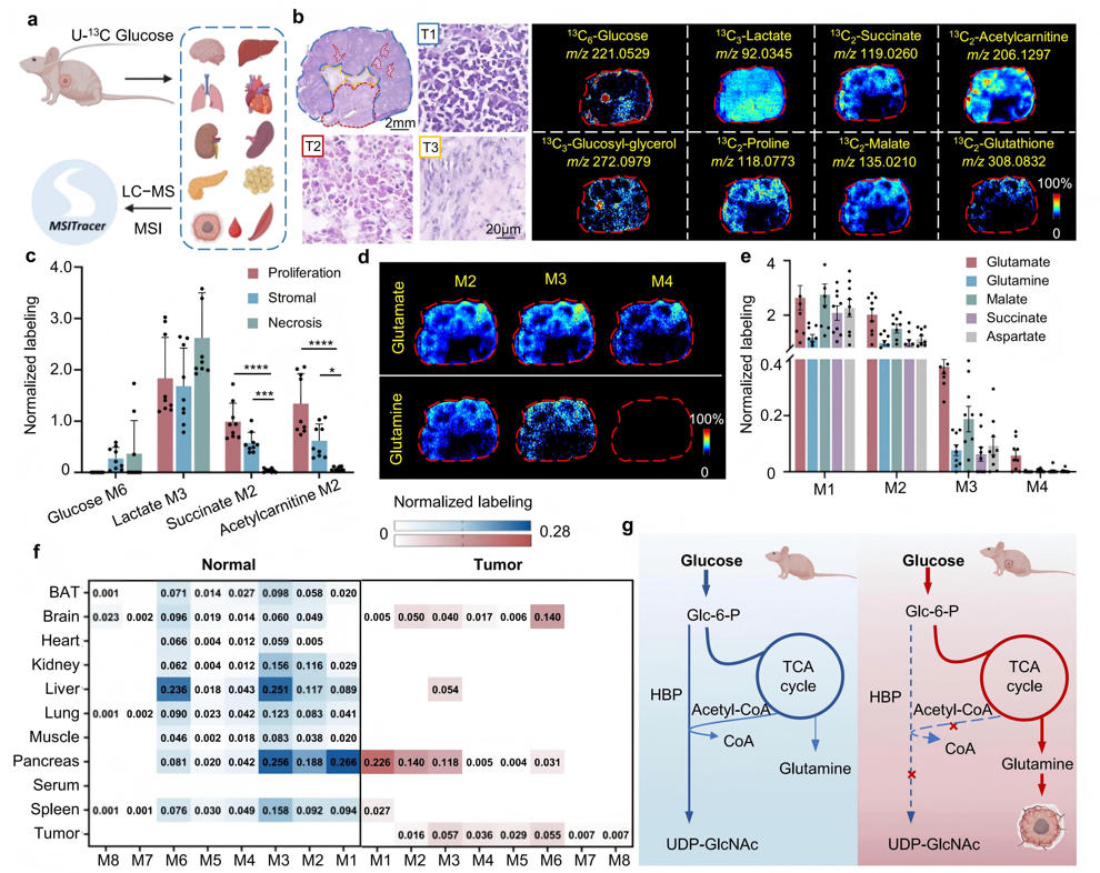 1763708743729300.jpg 图5.jpg